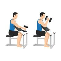 Man doing seated dumbbell preacher bicep hammer curls exercise. vector