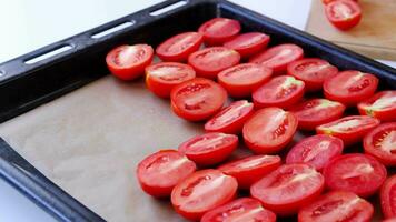 Delicious red tomatoes. man hands putting tomatoes to tray for drying, closeup video