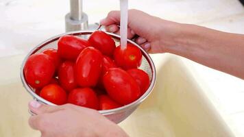 woman hands washing red tomatoes in kitchen sink, slow motion video