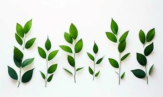 Green Leaves With A White Background. AI Generated. Free Photo