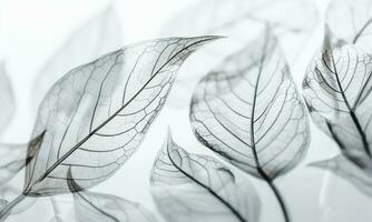 Ethereal Leaves Of White Background. AI Generated. Pro Photo