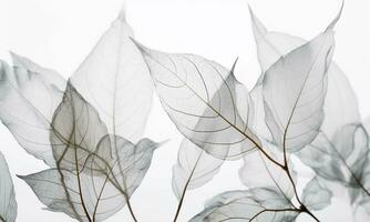 Ethereal Leaves Of White Background. AI Generated. Pro Photo