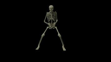 squelette Danse alpha canal video