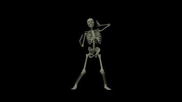 skelet dans element video
