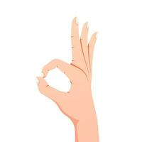 OK hand gesture vector isolated on white background.