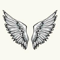 Wings Vector Graphics
