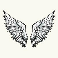 Wings Vector Graphics