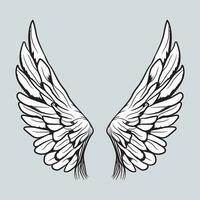 Wings Vector Graphics