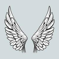 Wings Vector Graphics