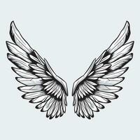 Wings Vector Graphics