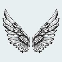 Wings Vector Graphics