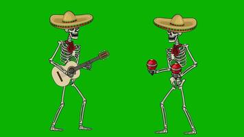 animado, mexicano esqueleto dentro sombrero com guitarra com croma chave video