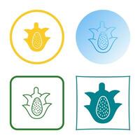 Dragon Fruit Vector Icon