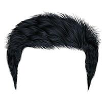 trendy  man hairs  . brunette black . beauty style . realistic  3d . vector