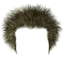 trendy shaggy man hairs black colour.beauty style.high hair styling . vector