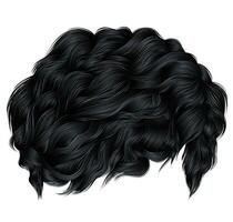 trendy curly hairs brunette black colors . medium length . beauty style .realistic  3d . vector