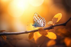 Macro photography, butterflies in the flowers with morning light with copy space.Created with Generative AI technology. photo