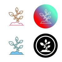 Sprout Vector Icon