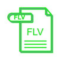 FLV Vector Icon