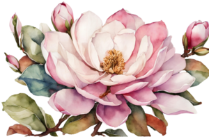 elegant vattenfärg magnolia blommor. blommig botanisk illustration. ai generativ png