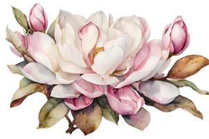 elegant waterverf magnolia bloemen. bloemen botanisch illustratie. ai generatief png