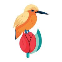 Trendy Kingfisher Bird vector