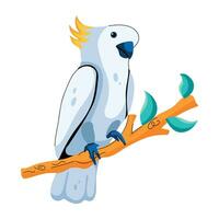 Trendy Cockatoo Concepts vector