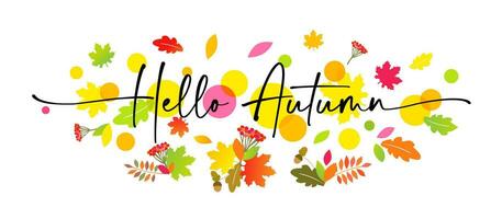 Hello Autumn elegant lettering with colored rowan berries, acorns, oak and maple leaves. Autumn leaves and hand lettering phrase. Background or banner template vector