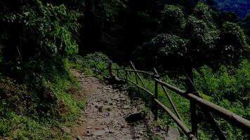 Small rocky road in mountain with trees around it photo