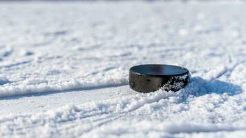 hockey puck lies on the snow close-up photo