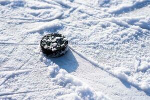 hockey puck lies on the snow close-up photo