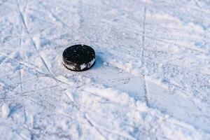 hockey puck lies on the snow close-up photo