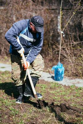 father and son digging ground in forest with shovels, ecology