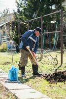 A man is planting a young tree. The farmer is digging the ground with a shovel for a small seedling. The concept of protection of the environment and ecology photo