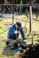 A man plants a young fruit tree. The farmer unpacks a new seedling and puts it in the ground. The concept of environmental protection and ecology photo