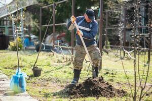 A man is planting a young tree. The farmer is digging the ground with a shovel for a small seedling. The concept of protection of the environment and ecology photo