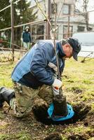 A man plants a young fruit tree. The farmer unpacks a new seedling and puts it in the ground. The concept of environmental protection and ecology photo