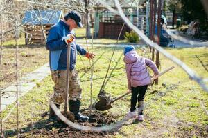 padre enseñando su hija cómo a planta un nuevo árbol en primavera foto
