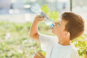 A beautiful child sitting on the grass drinks water from a bottle in the summer at sunset. Boy quenches his thirst on a hot day photo