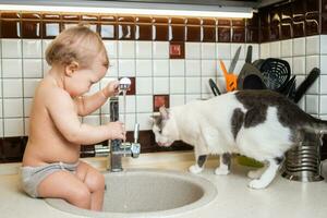 linda bebé jugando en el cocina lavabo con un gato foto