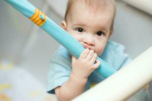 baby, she sits in the arena and chewing toys photo