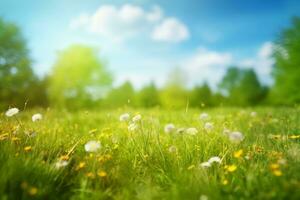 Beautiful meadow field with fresh grass and yellow dandelion flowers in nature against a blurry blue sky with clouds. Summer spring perfect natural landscape. generative ai. photo
