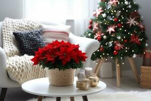 beautiful poinsettia and gift box on white table in stylish living room interior. Traditional Christmas flower. generative ai. photo