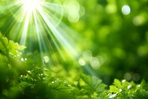 verde borroso antecedentes y luz de sol. generativo ai. foto