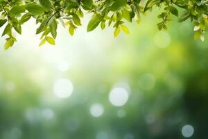 verde hojas, borroso antecedentes con Bokeh, gratis espacio y naturaleza.generativa ai. foto