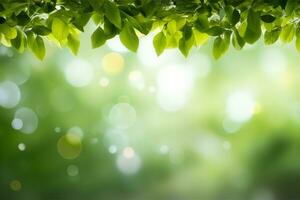 Green leaves, blurred backgrounds with bokeh, free space and nature.generative ai. photo
