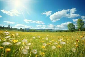 Field with yellow dandelions and blue sky. generative ai. photo