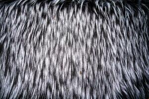 un borroso gris alfombra antecedentes. textura para el antecedentes foto
