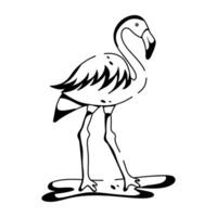 Trendy Flamingo Concepts vector