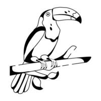 Trendy Toucan Concepts vector